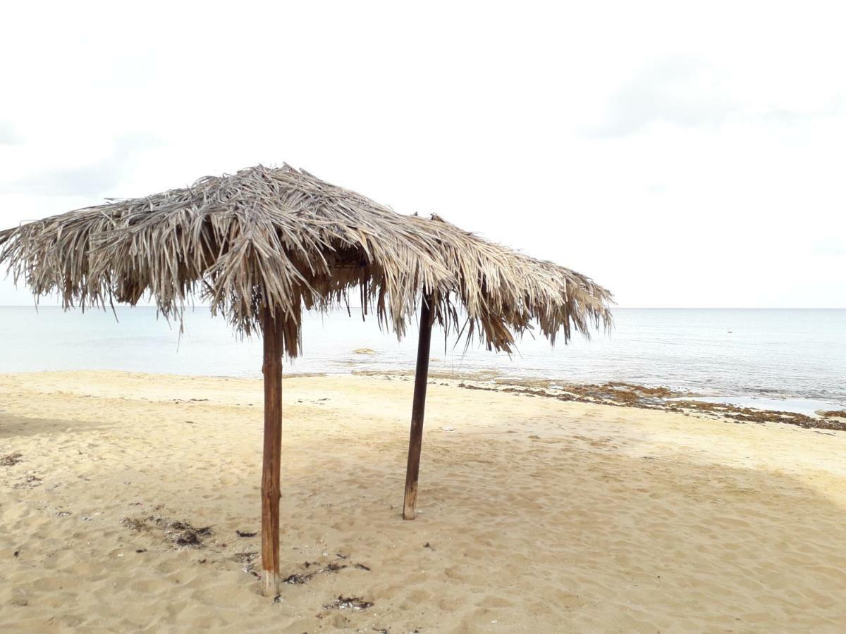 Protaras Happy Sunny Holidays Paralimni Zewnętrze zdjęcie