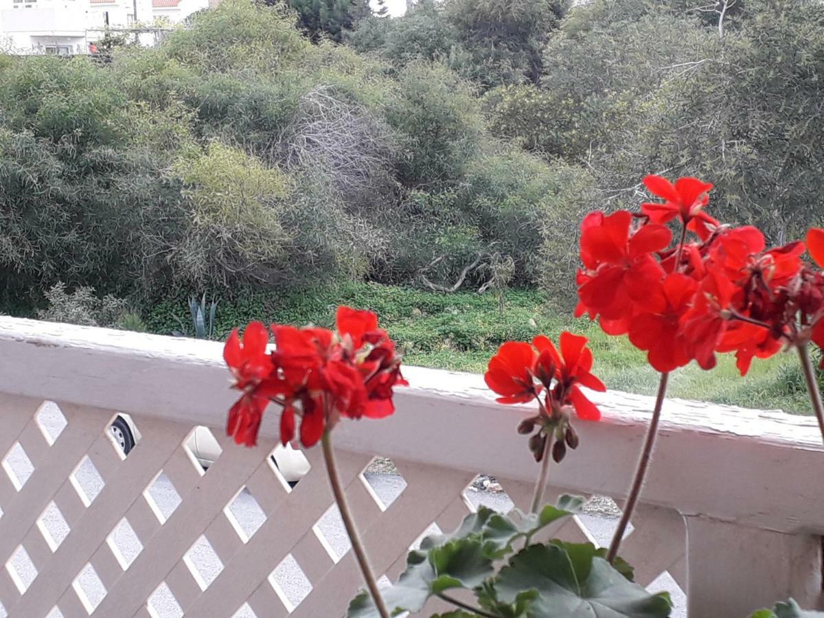 Protaras Happy Sunny Holidays Paralimni Zewnętrze zdjęcie